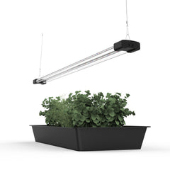 DYMOND Boostgro close-up of LED array highlighting spectral diodes for growth