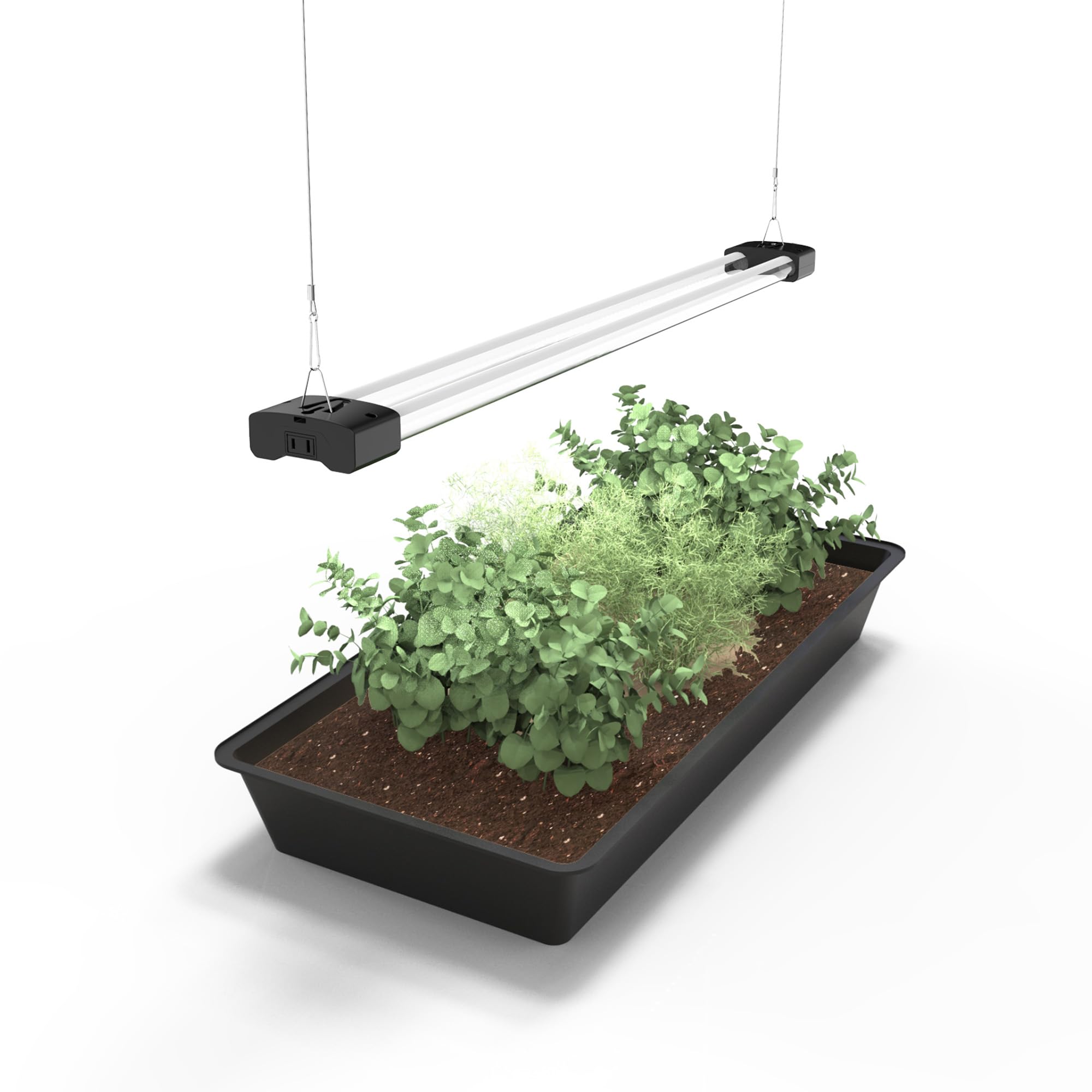 DYMOND Boostgro front view showing slim full-spectrum fixture and bright coverage