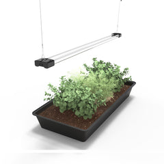 DYMOND Boostgro front view showing slim 4ft fixture and bright output benefit