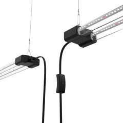 DYMOND Boostgro hanging setup above seedlings for uniform light distribution