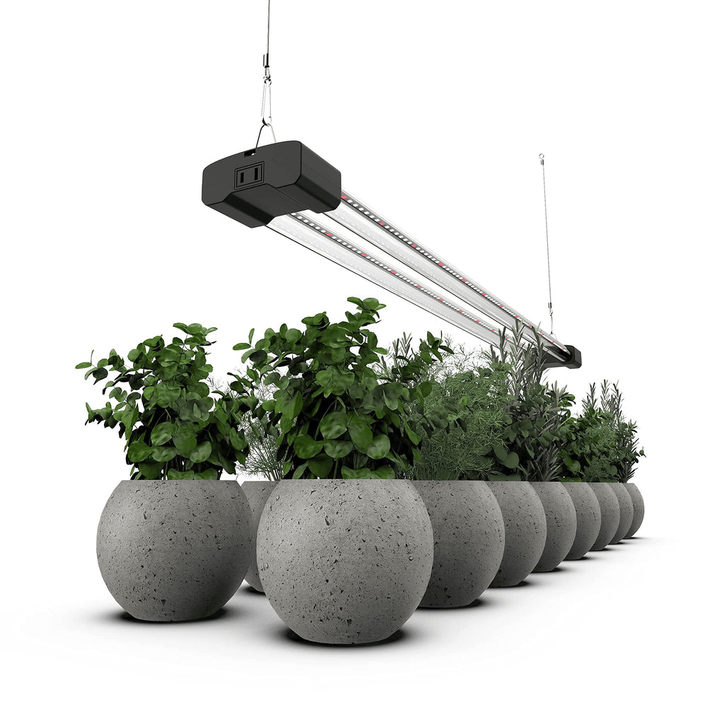 DYMOND close-up of LED array highlighting full-spectrum and efficiency benefit