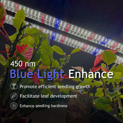 DYMOND Boostgro mounted on shelf illuminating seed trays for uniform growth