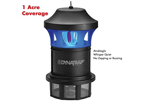 DynaTrap DT1775 next to chair for size and scale, shows unobtrusive footprint