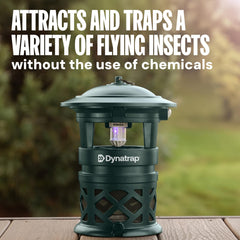 DynaTrap close-up of removable catch basket for easy emptying and hygienic cleanup