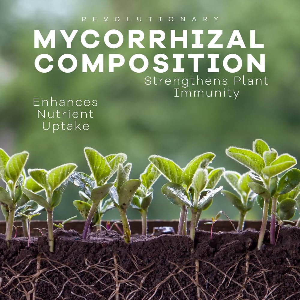 DYNOMYCO granule close-up texture highlighting live fungi and even mixing