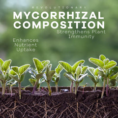 DYNOMYCO granule close-up texture highlighting live fungi and even mixing