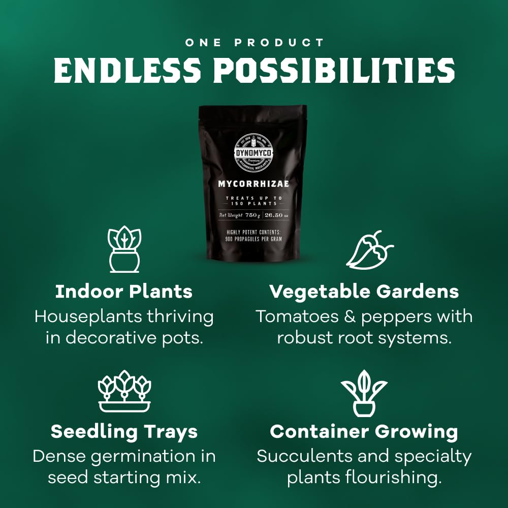 DYNOMYCO used in container garden demonstrating healthier plants and yields