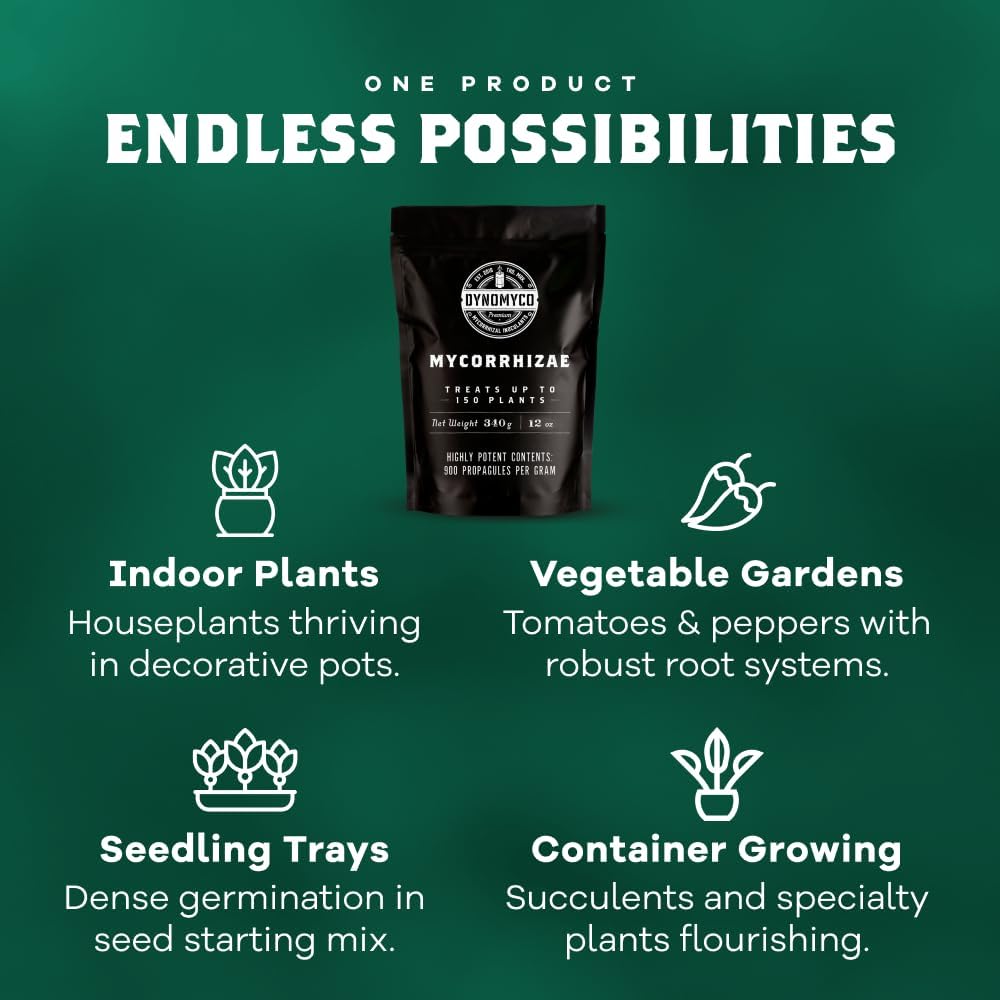 DYNOMYCO lifestyle garden beds with treated plants showing stronger growth