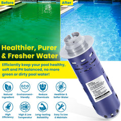 E-cowlboy cartridge installed in a pool system for easy replacement