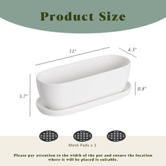 E-liu ceramic saucer closeup catching excess water and protecting surfaces