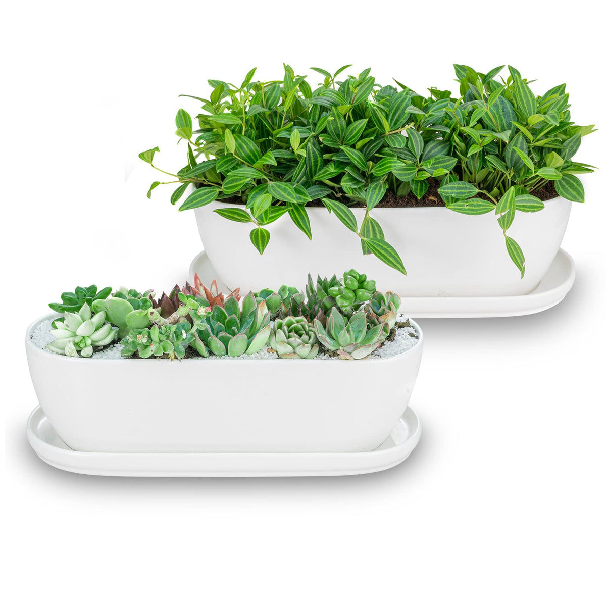 E-liu front view showing both oval planters and sleek white finish