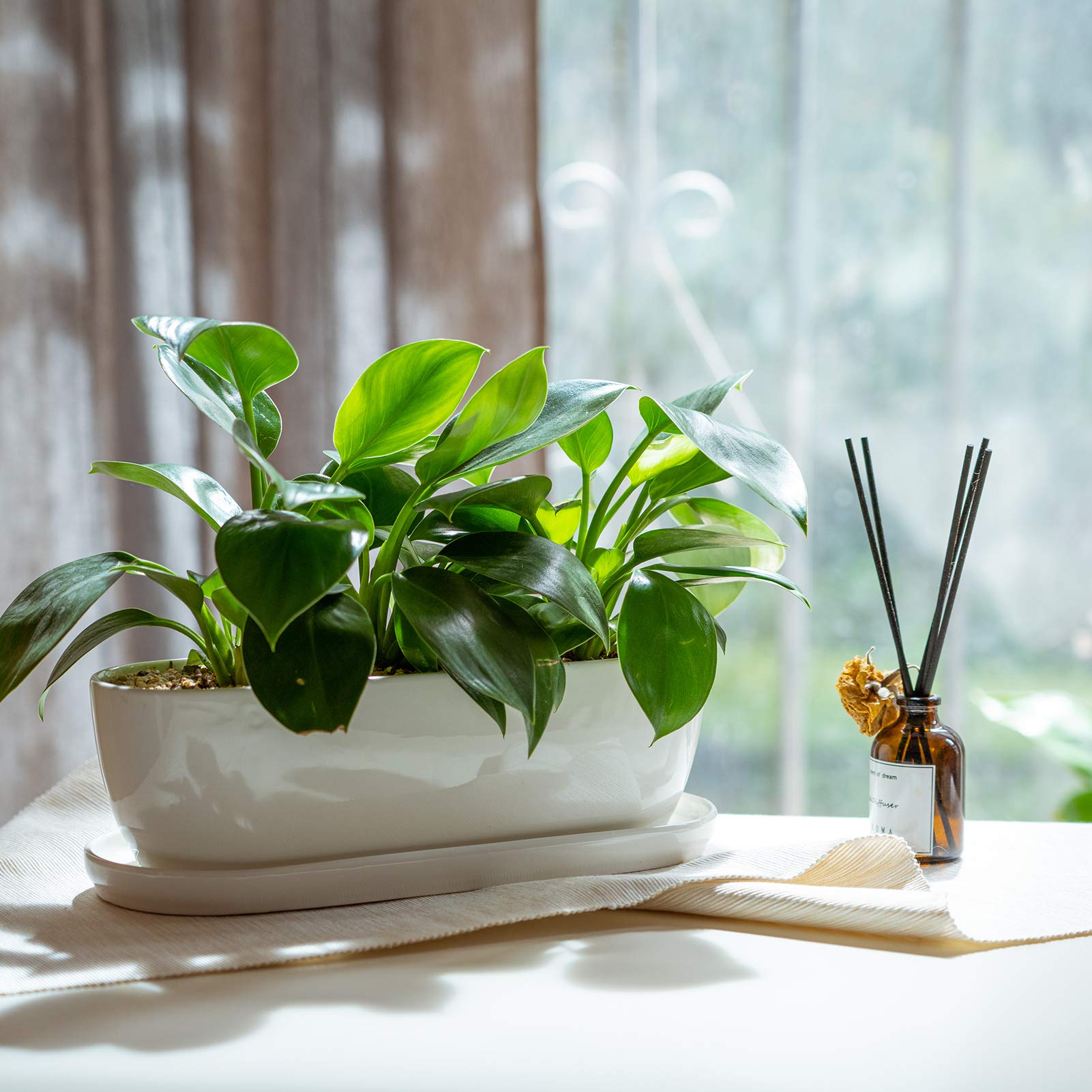 E-liu glossy interior surface for easy cleaning and repotting convenience