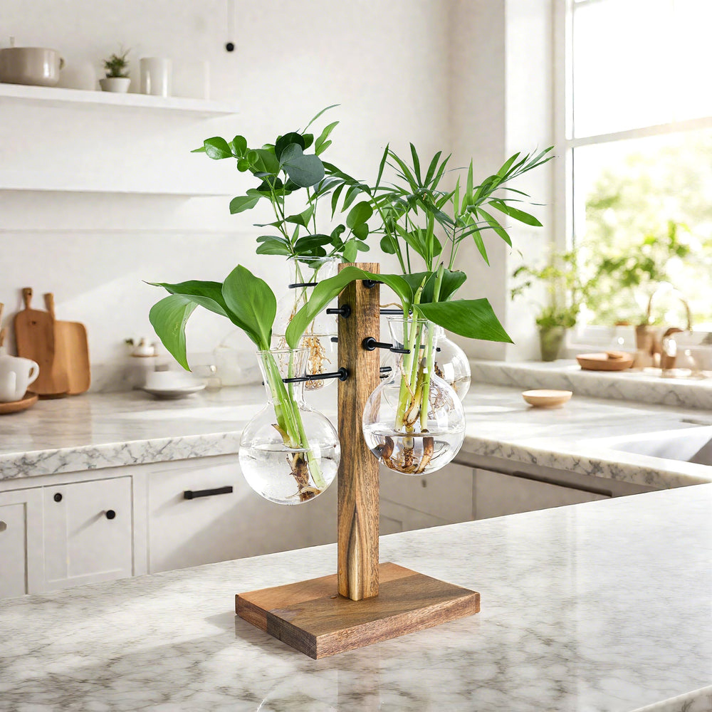 E-ROOM TREND front view showing acacia stand and four glass vases for tidy displays