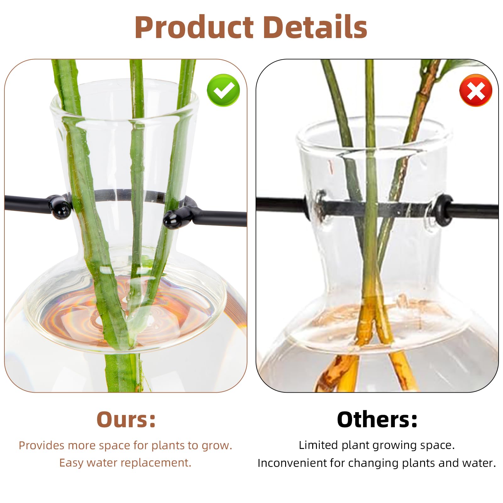 E-ROOM TREND propagation vases with cuttings showing visible roots and easy monitoring
