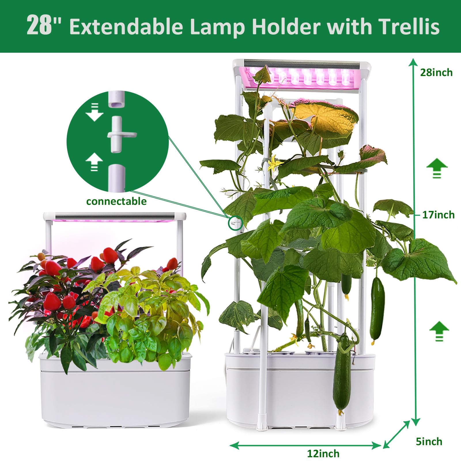 E SUPEREGROW dual planter close-up with room for larger root systems