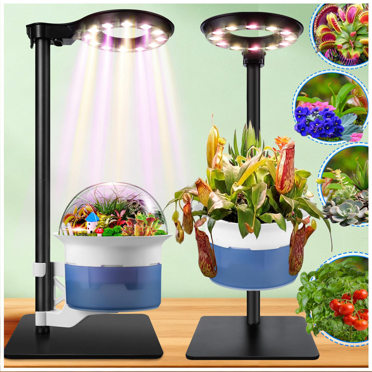 E SUPEREGROW front view of terrarium pot showing complete system and neat design