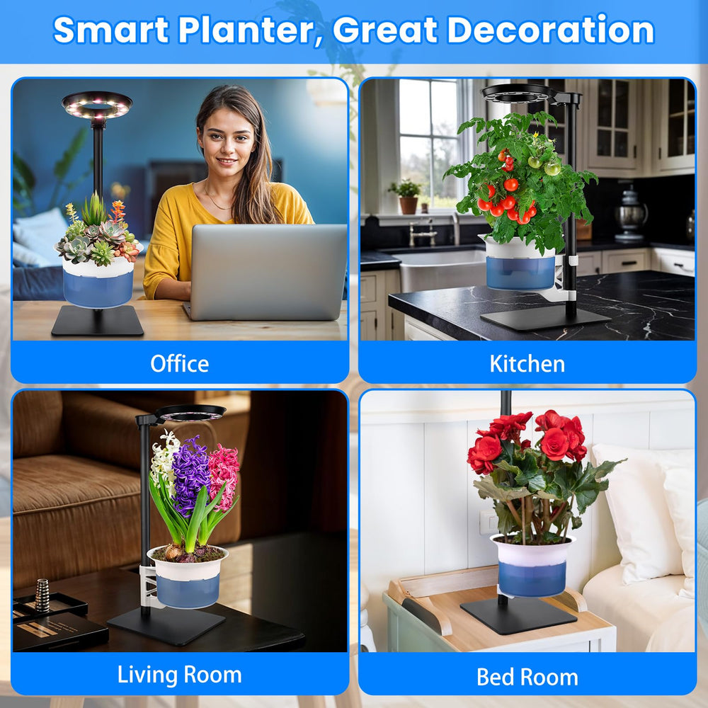 E SUPEREGROW terrarium on desk in living room illustrating stylish indoor placement