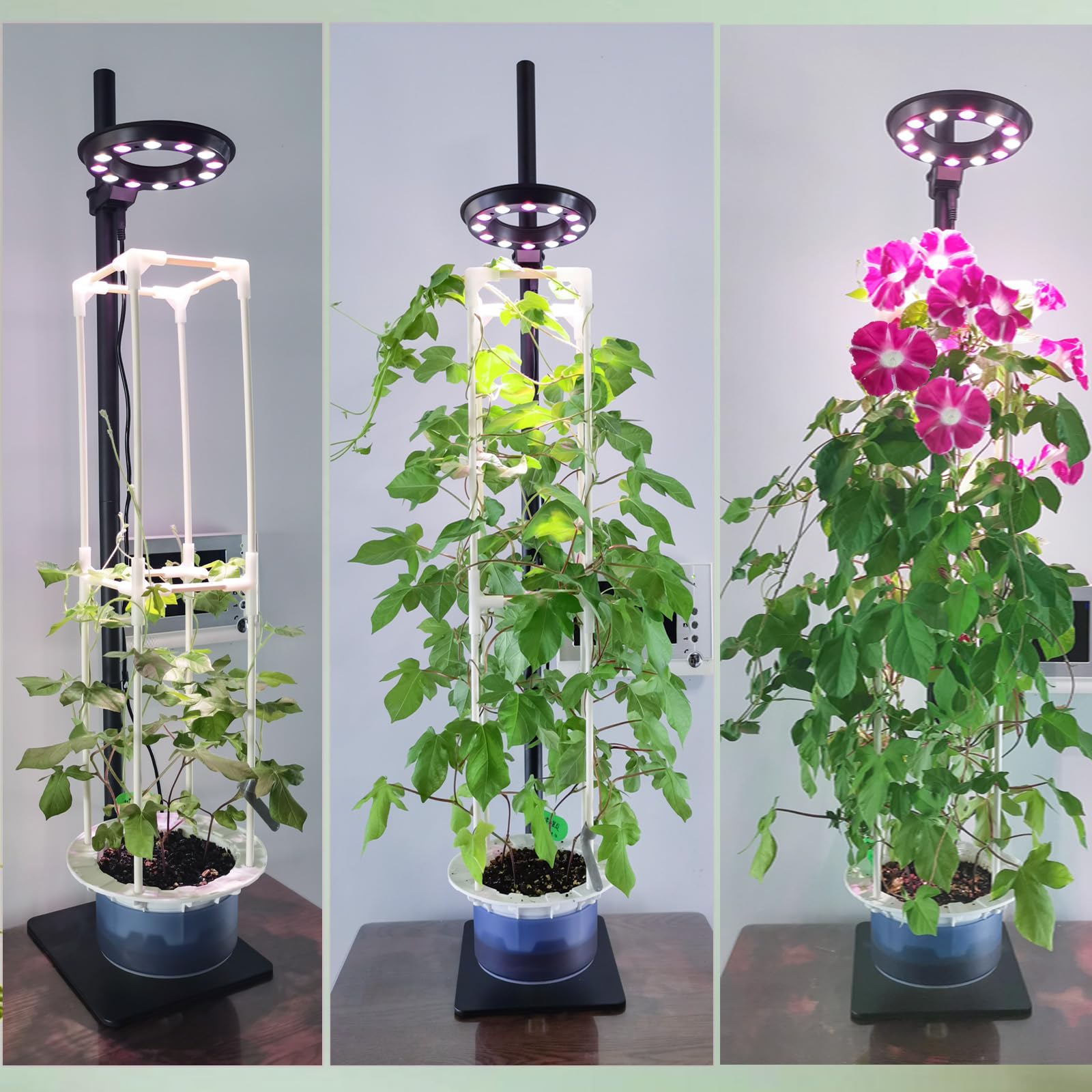 E SUPEREGROW in kitchen setting growing herbs for fresh cooking convenience