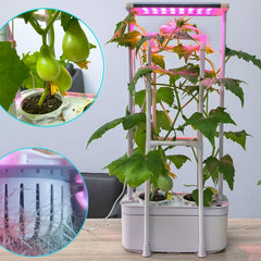 E SUPEREGROW trellis supporting climbing plants for stronger yields