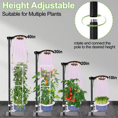 E SUPEREGROW trellis supporting climbing plants for vertical garden efficiency