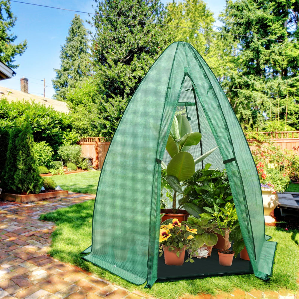 EAGLE PEAK beside potted plants showing greenhouse size and scale