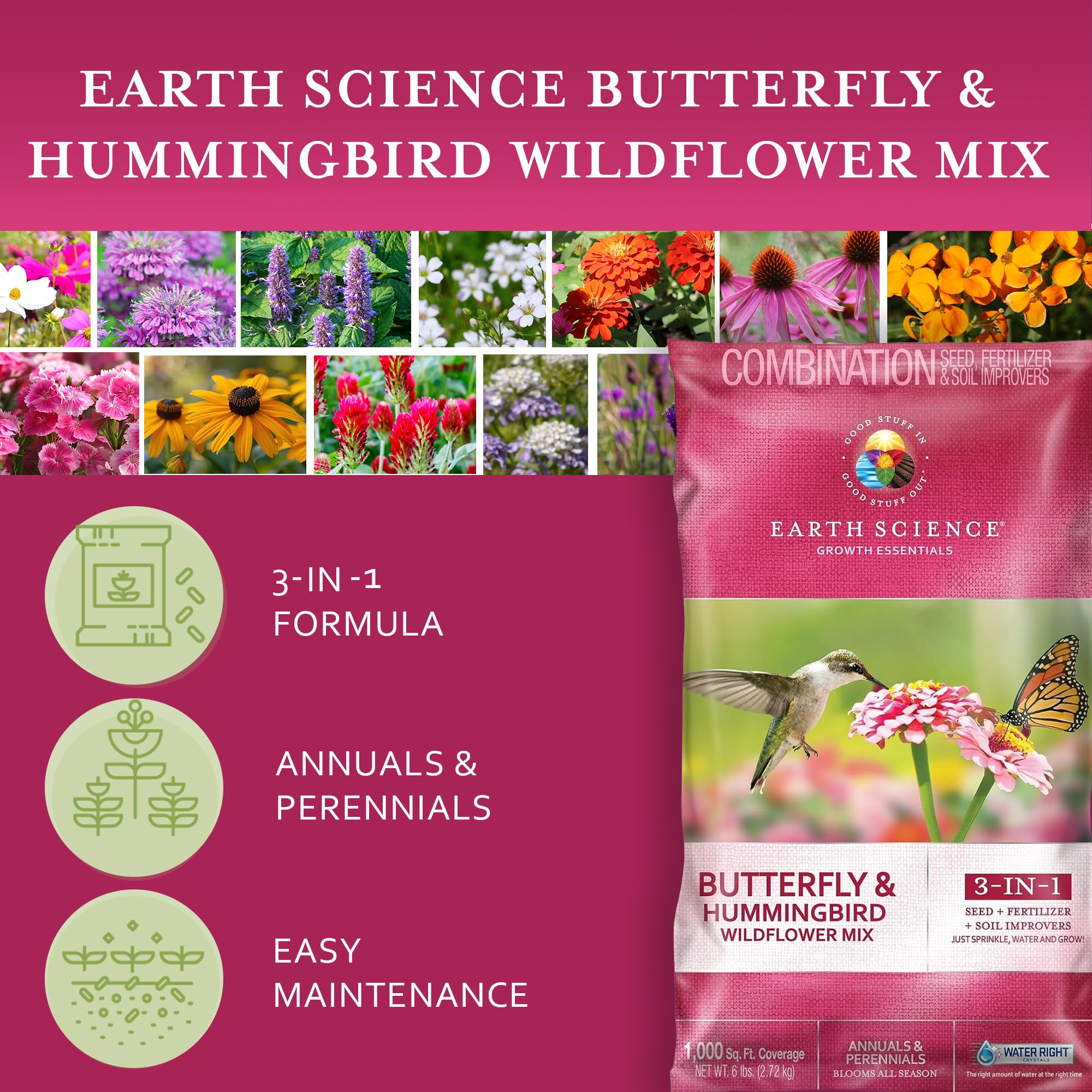 Earth Science zinnia with a butterfly demonstrating pollinator-friendly flower choice