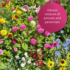 Earth Science seeds sown in soil demonstrating simple planting and quick establishment