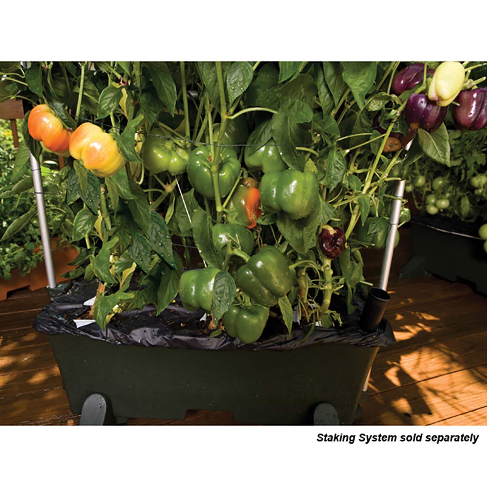 EarthBox on balcony with vegetables growing showing compact urban gardening benefit