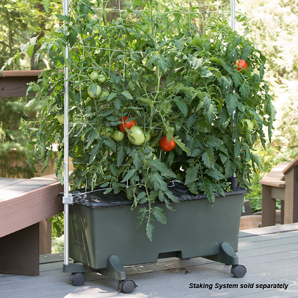 EarthBox next to an adult hand showing scale and space-efficient gardening benefit