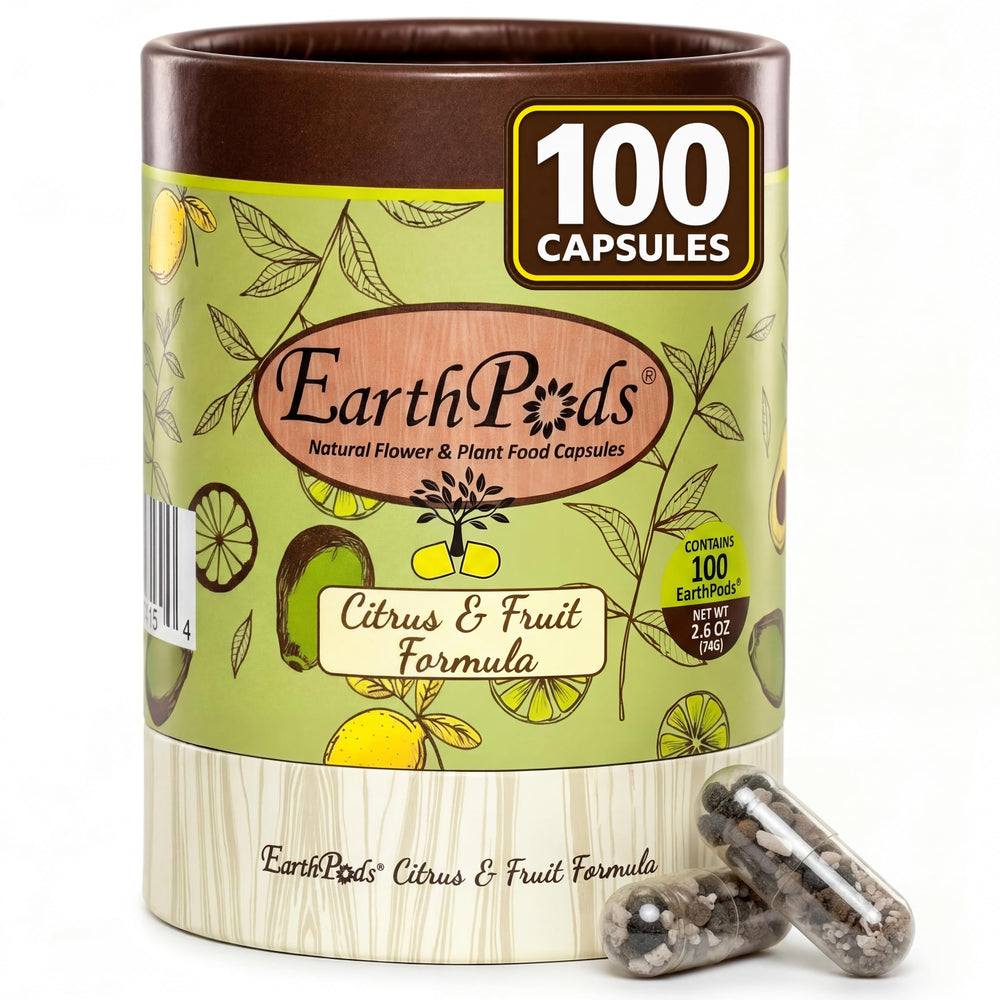 EarthPods front package showing recyclable tube and 100 organic capsules, tidy storage benefit