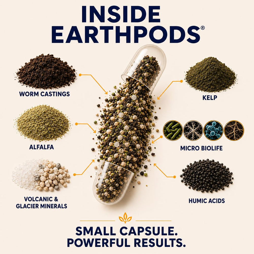 EarthPods capsules pushed into pot near stem demonstrating quick feeding benefit