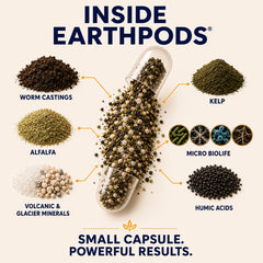 EarthPods capsules pushed into pot near stem demonstrating quick feeding benefit