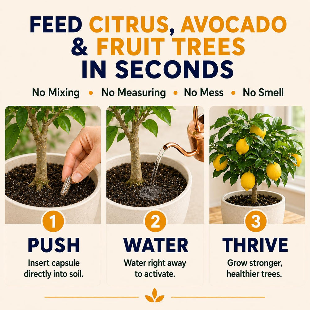 Hand inserting an EarthPods capsule into potting soil near trunk, fast no-mess feeding benefit