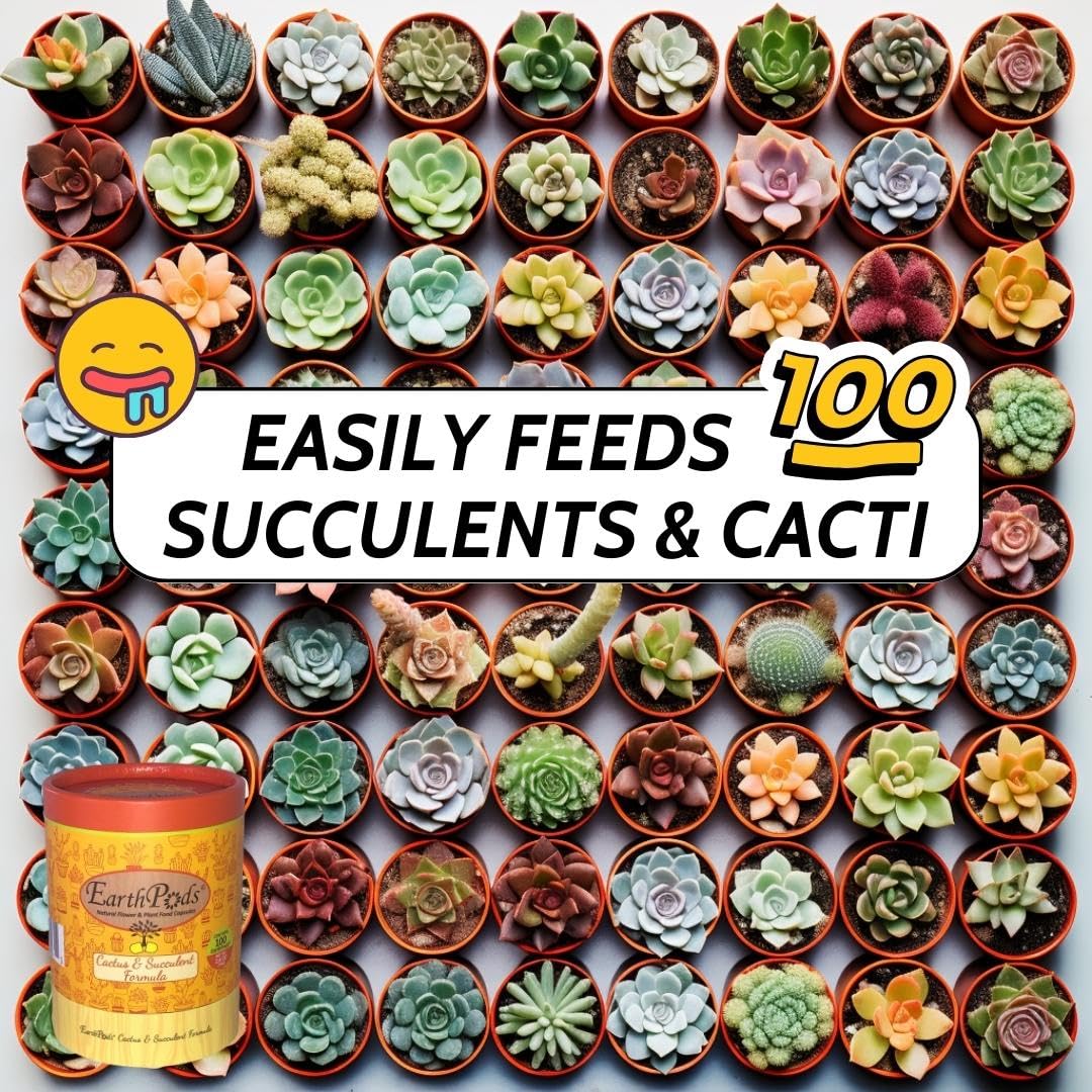 EarthPods tube beside a group of healthy succulents illustrating steady growth benefits
