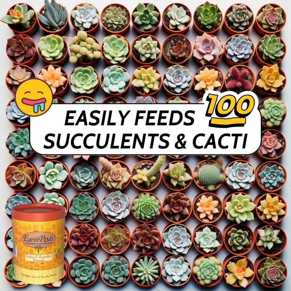 EarthPods tube beside a group of healthy succulents illustrating steady growth benefits