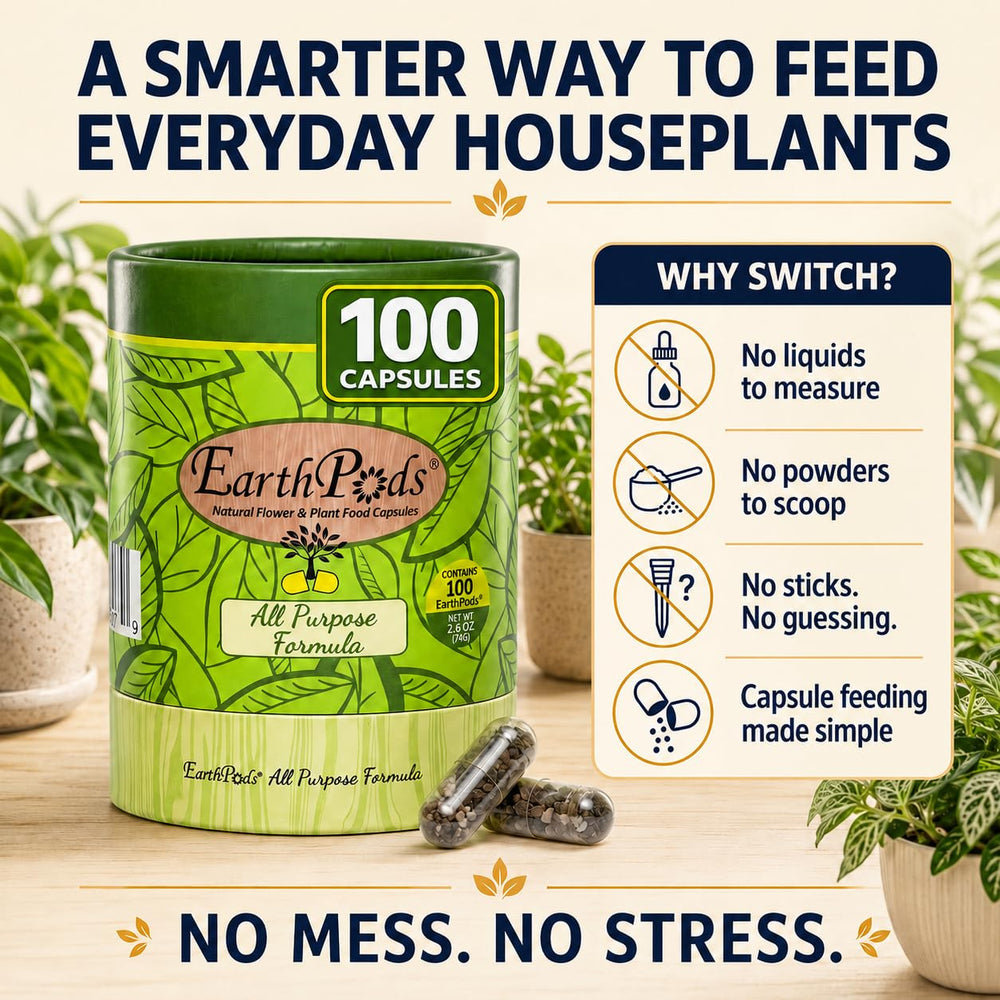 EarthPods open recyclable paperboard tube highlighting sustainable packaging