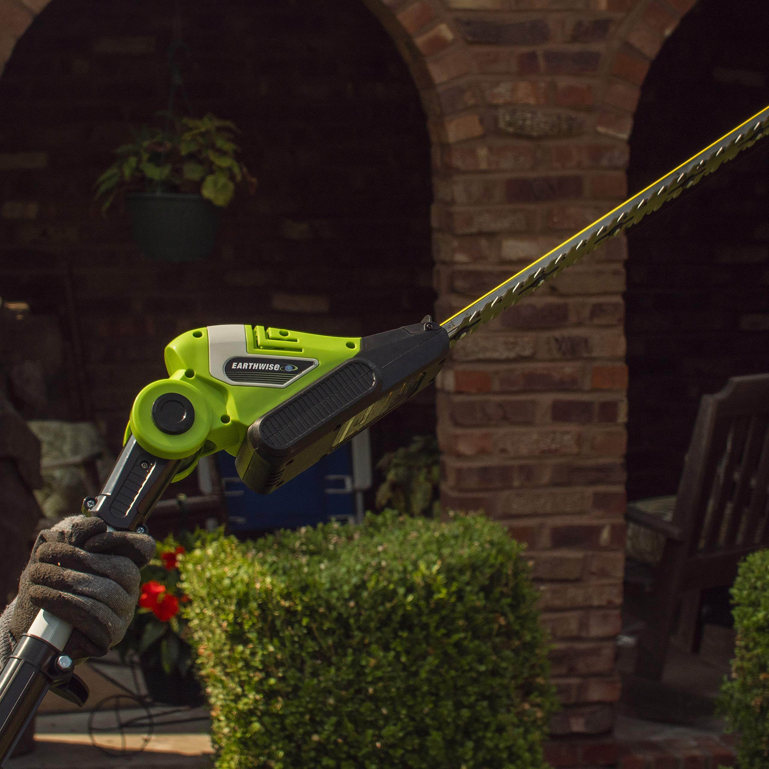 Earthwise trimmer in use trimming high hedge for safer ground-level trimming