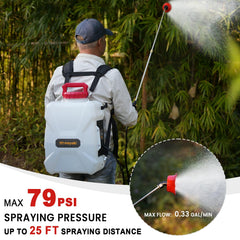 Eastyle seven nozzles and two wands displayed for versatile spraying options