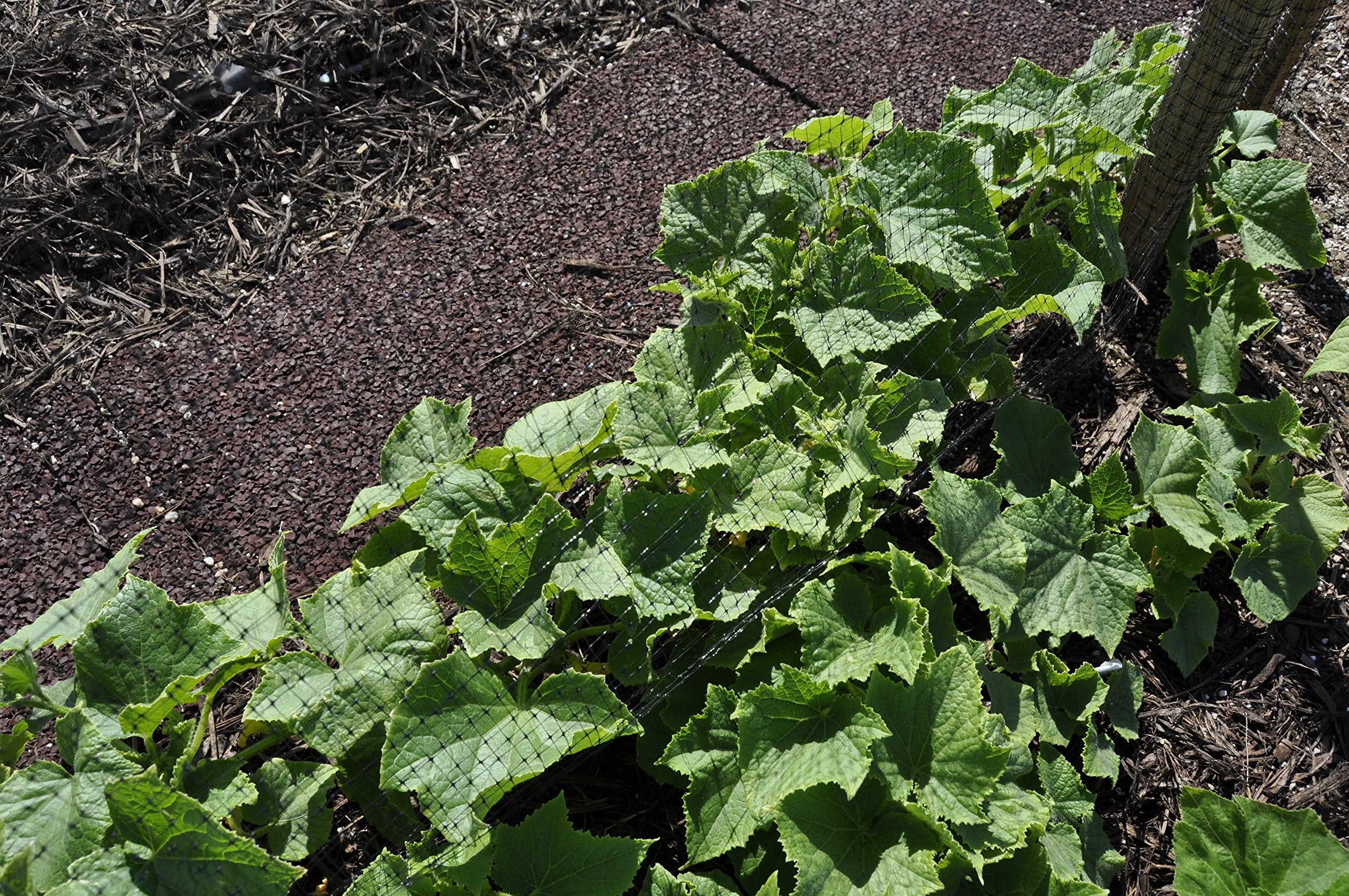 Easy Gardener BirdBlock close-up of black polypropylene mesh — durable protection