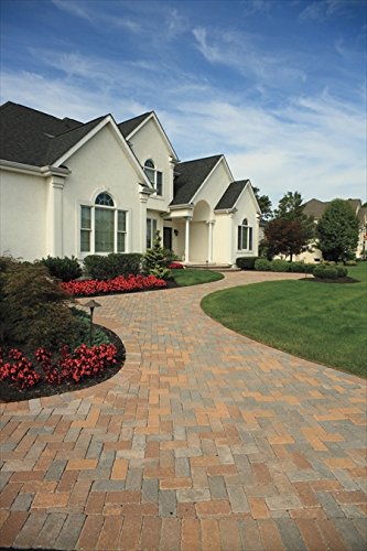 EasyFlex edging in backyard garden showing tidy, low-maintenance landscape result