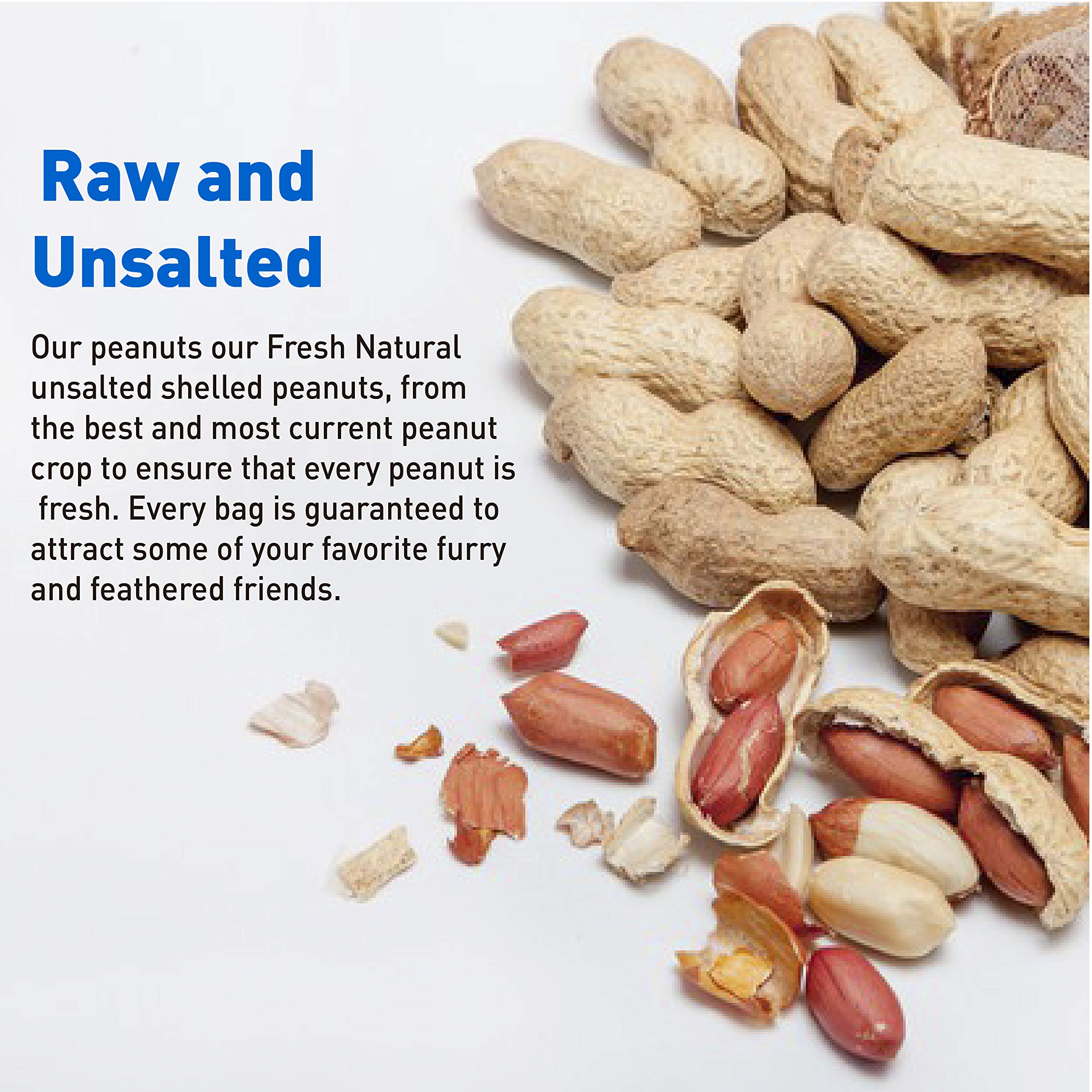 EASYGO PRODUCTS 25 lb bag beside doorway for scale and easy household storage