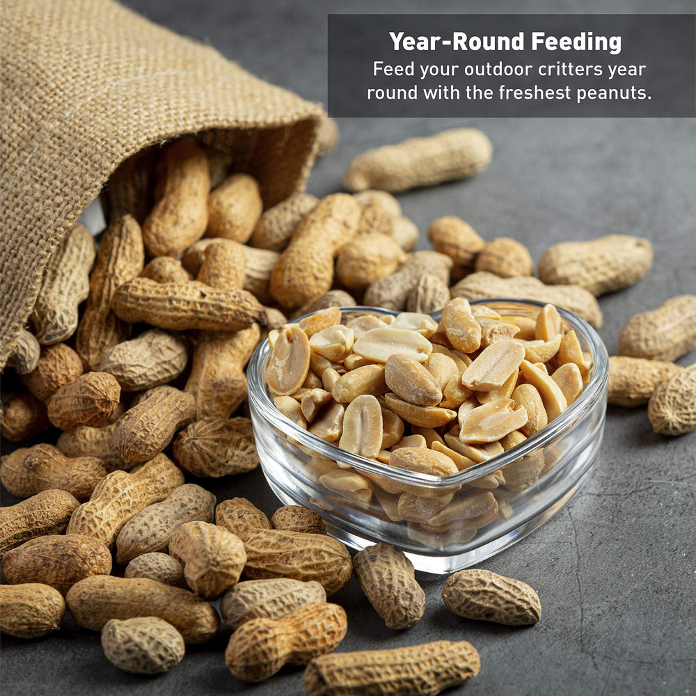 EASYGO PRODUCTS close-up of in-shell peanuts showing texture and natural quality