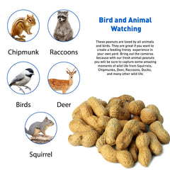 EASYGO PRODUCTS peanuts loaded in a bird feeder attracting woodpeckers and jays