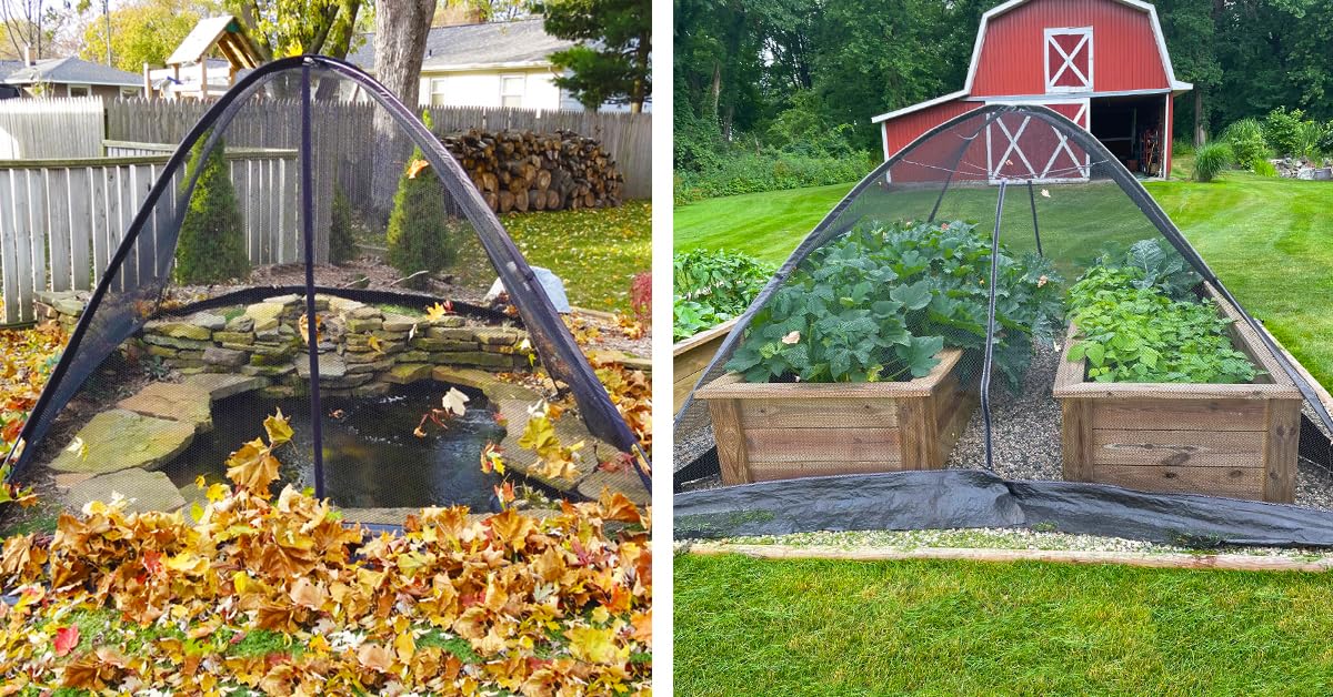 easypro tent installed over backyard pond showing full coverage benefit