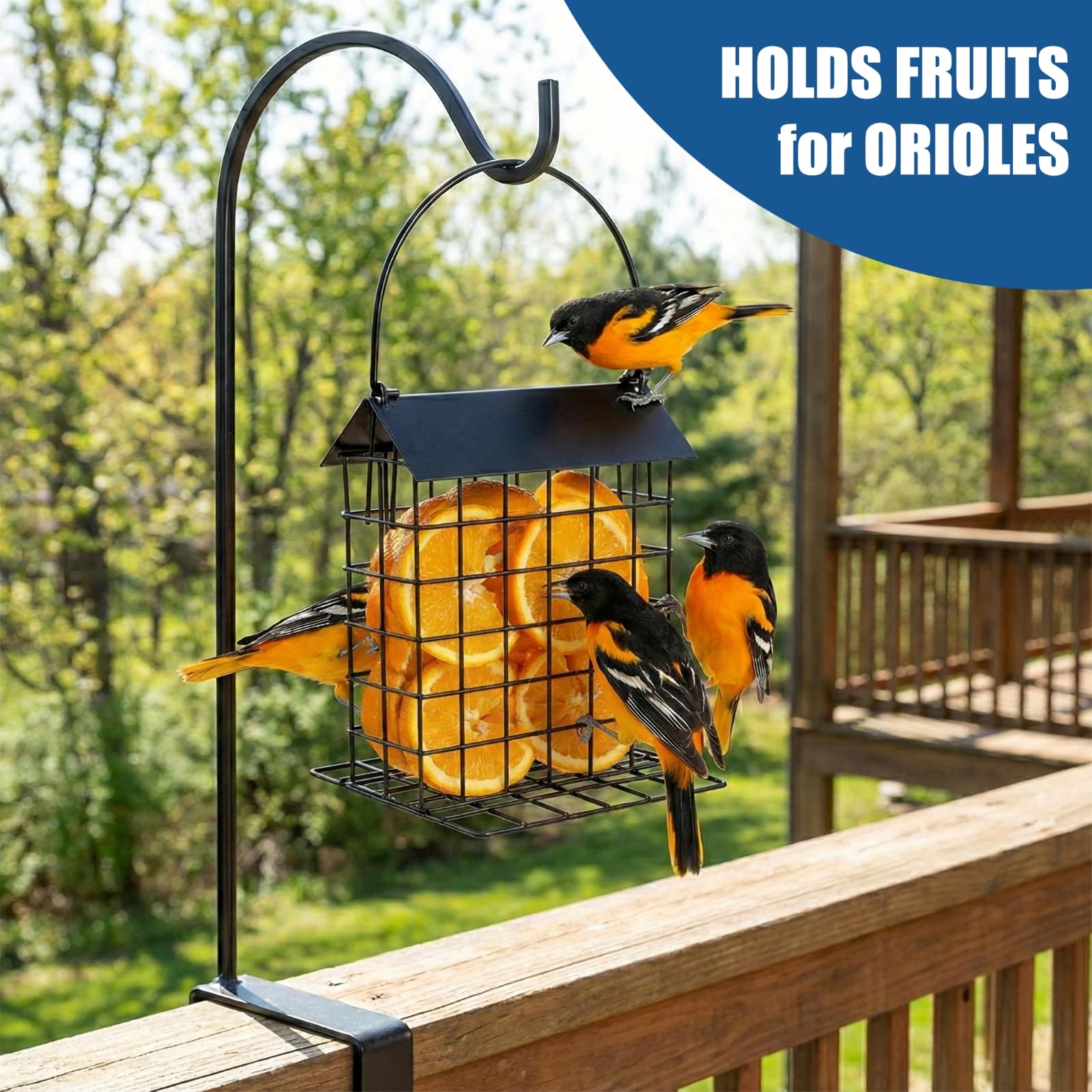 EazziSwitch feeder hanging from tree branch highlighting easy installation and secure outdoor placement