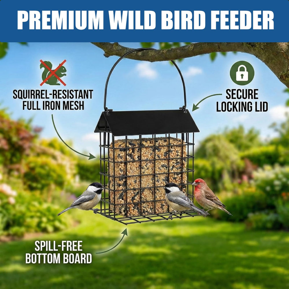 EazziSwitch feeder filled with shelled peanuts attracting crows and blue jays for reliable feeding