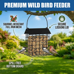 EazziSwitch feeder filled with shelled peanuts attracting crows and blue jays for reliable feeding