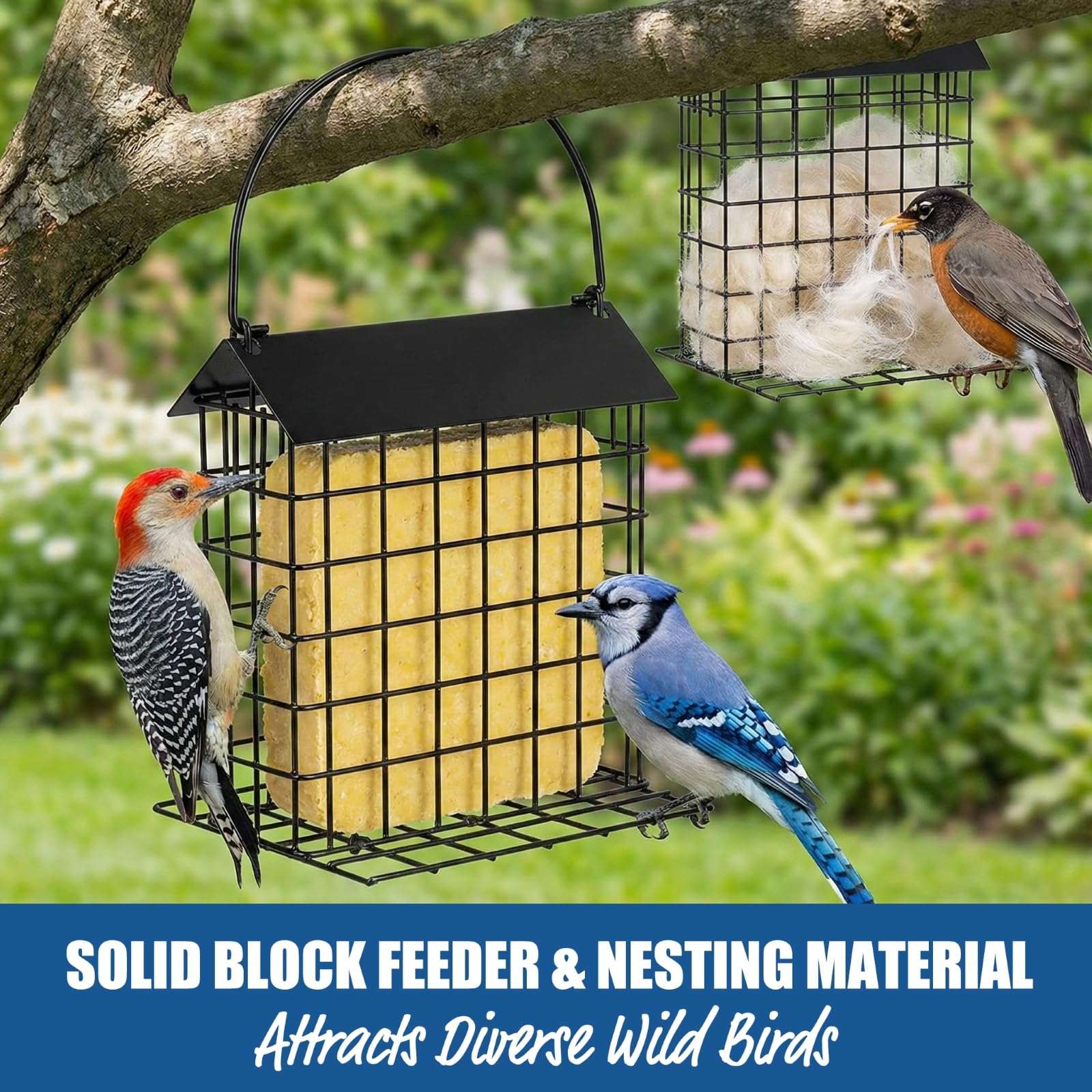 EazziSwitch feeder holding suet cake and fruit demonstrating multi-food compatibility for diverse birds