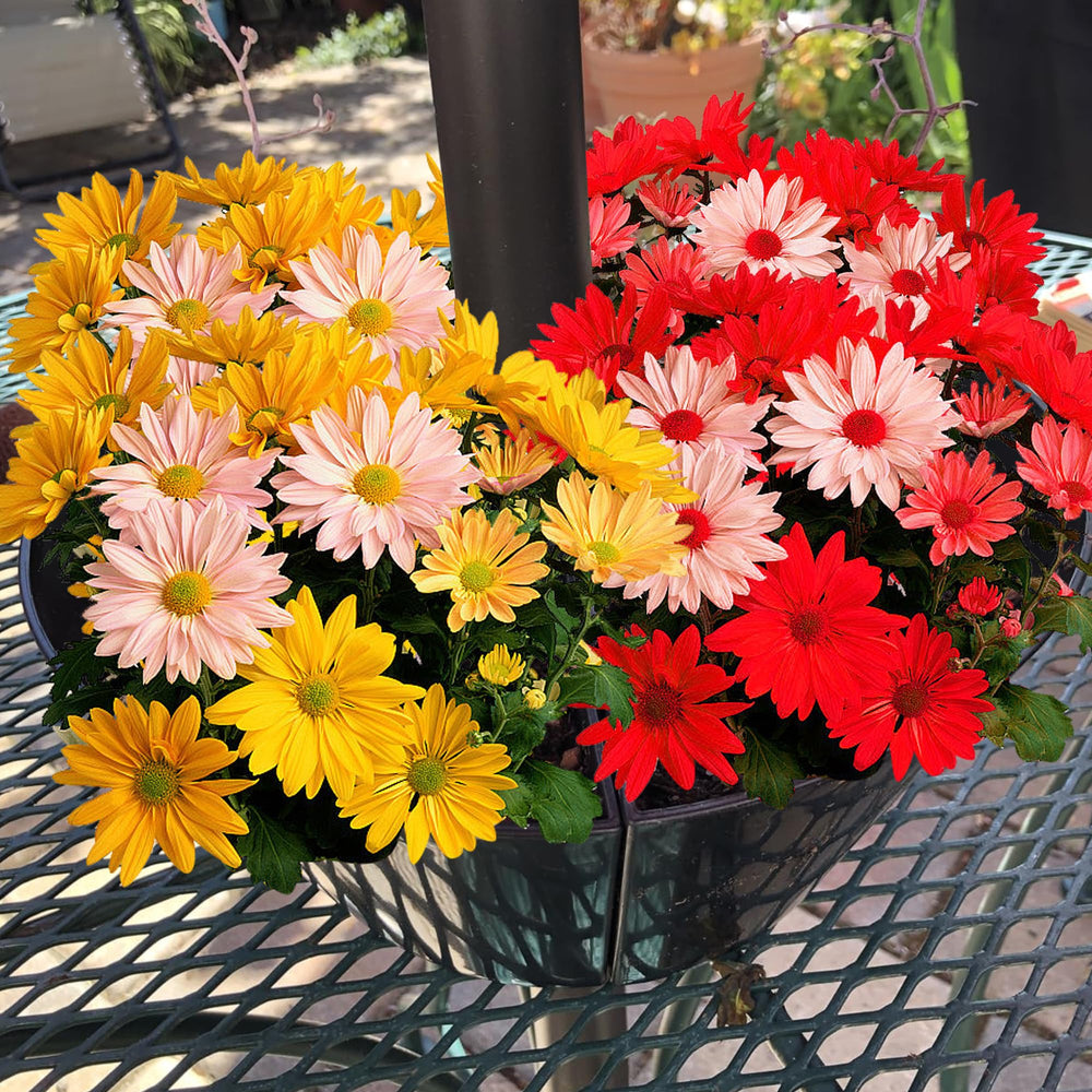 EBaokuup planters on a styled garden table with flowers, enhances outdoor ambiance