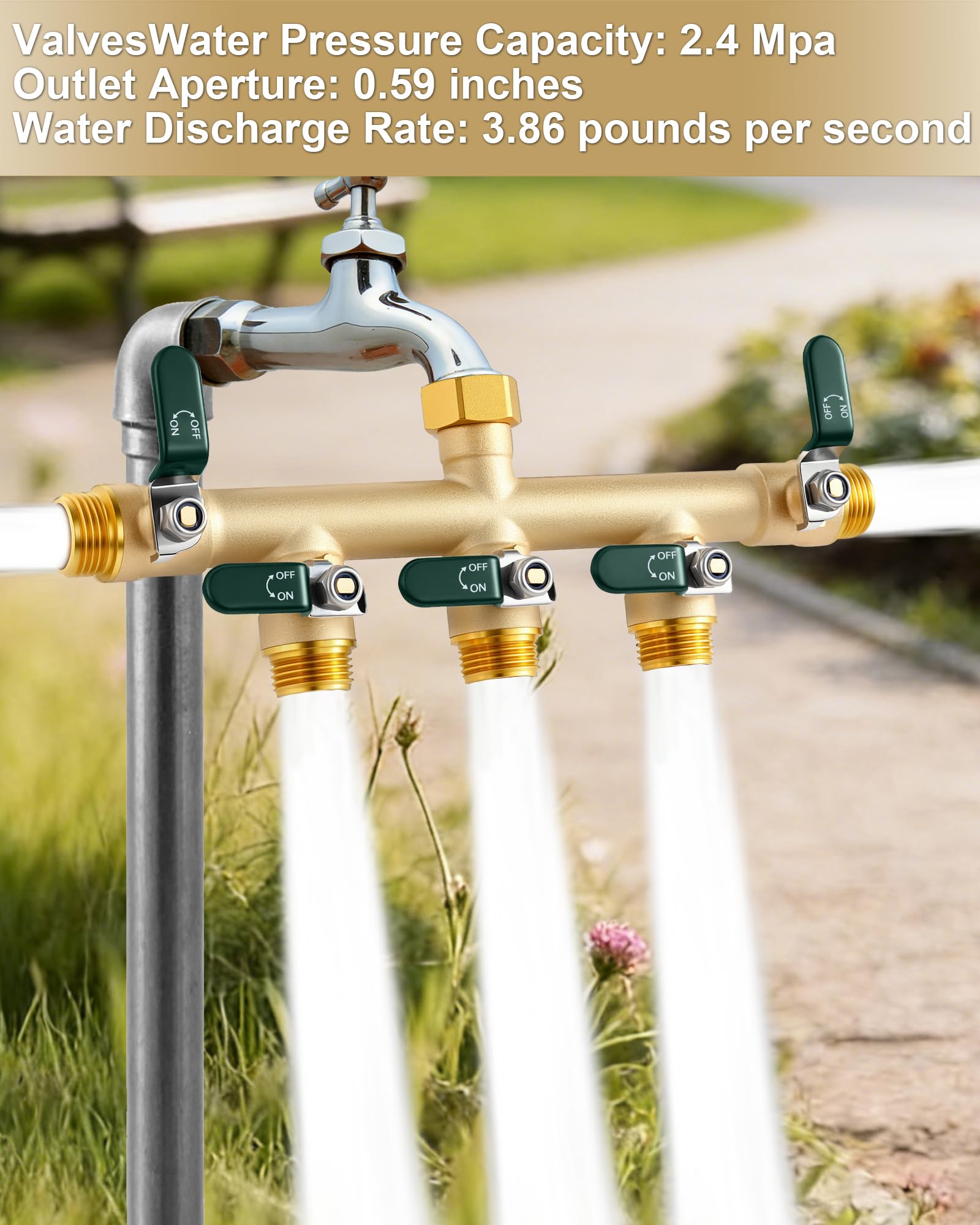 EBH garden setup in use with multiple hoses running for efficient watering